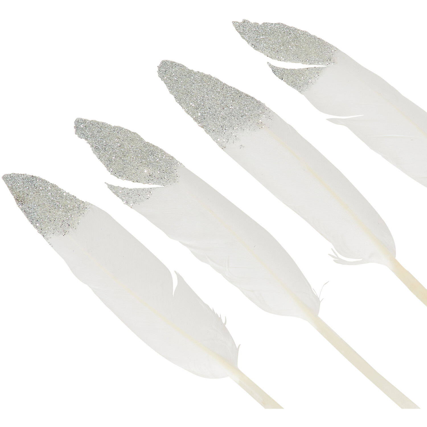 Art StudioGlitter Feathers Image 3