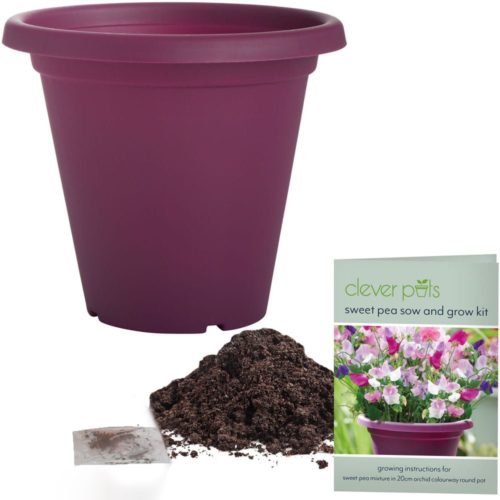 Clever Pots Scented Sweet Pea Sow and Grow Kit with a 19/20cm Round Pot Image 3
