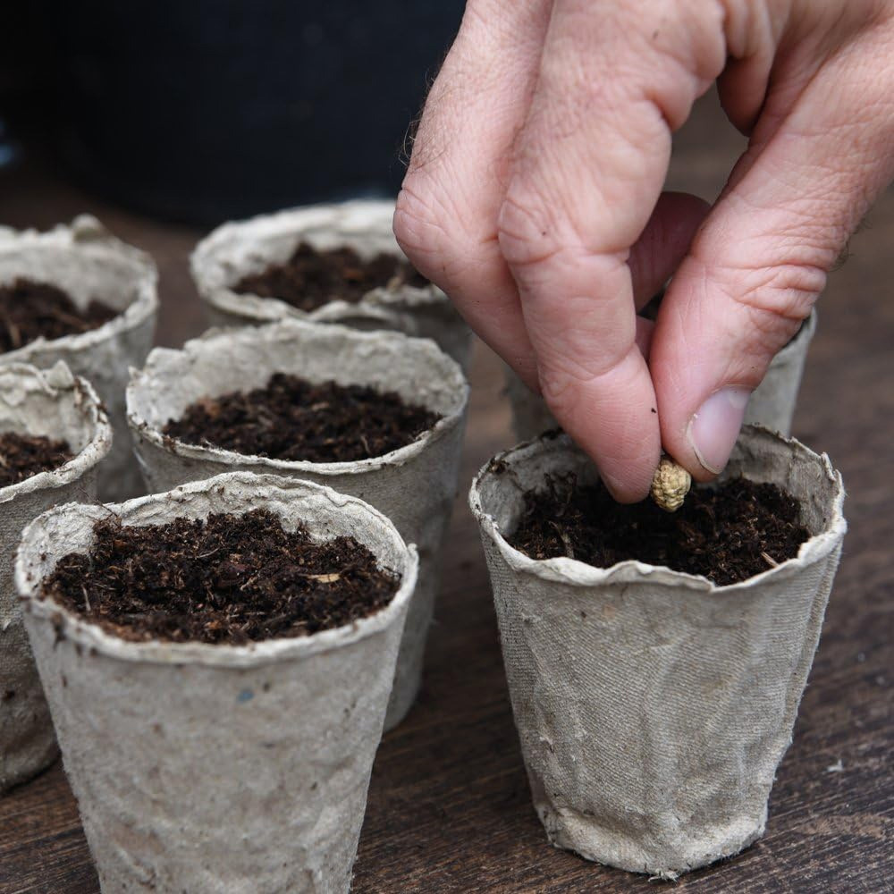 Garden Gear Garden Grow Fibre Grow Pot 192 Pack Image 6