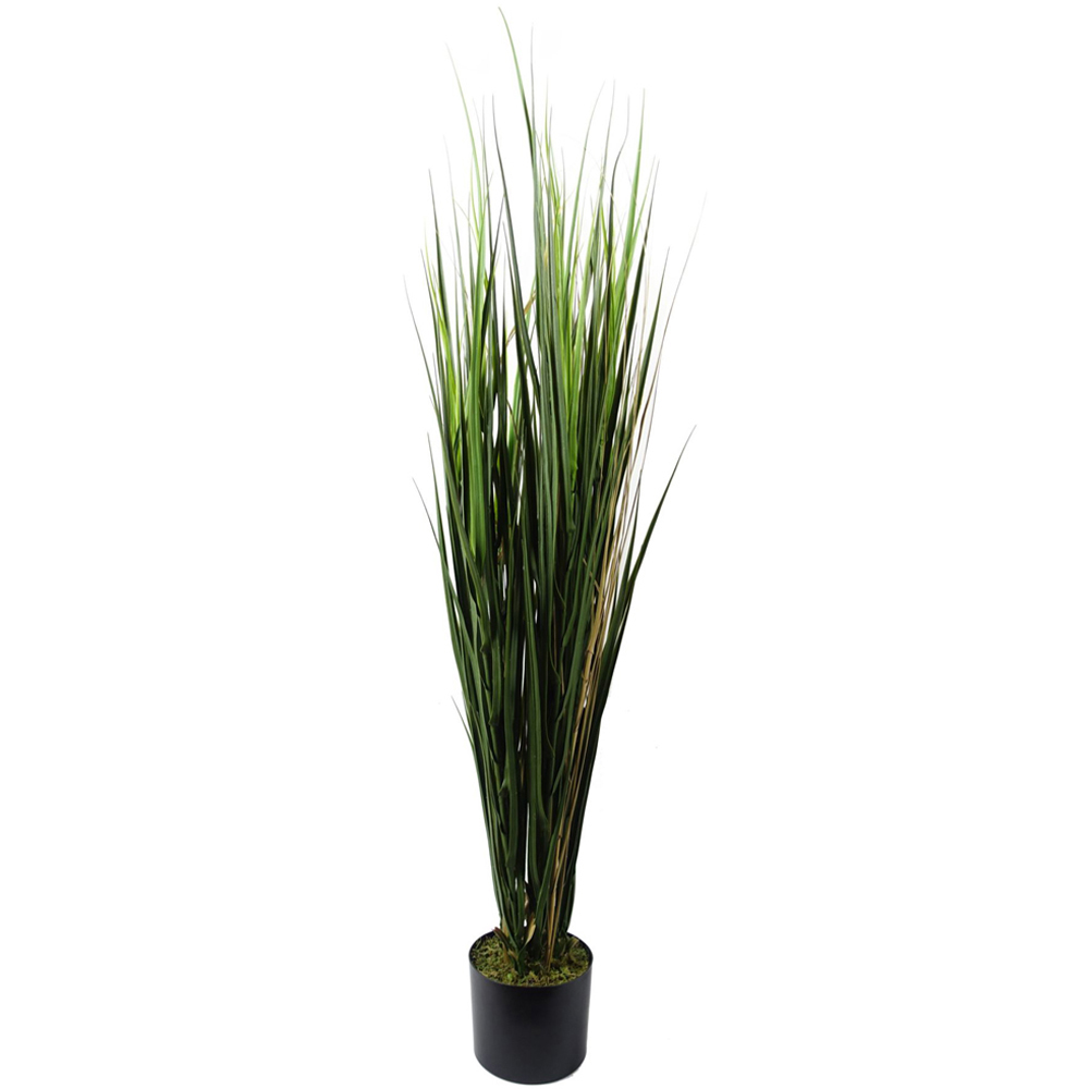 Botanik Grass Artificial Plant in Pot 4.3ft Image 1