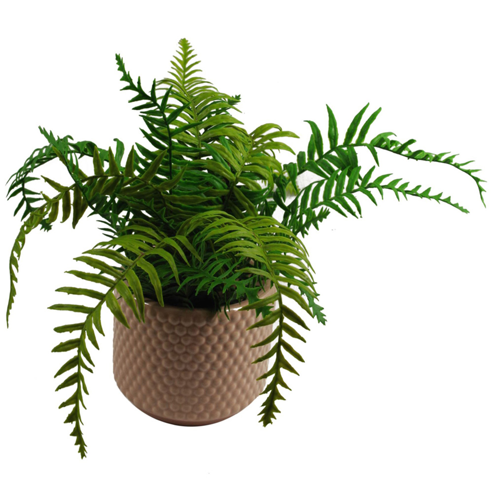 Leaf Dusty Pink Raised Dot Ceramic Plant Pot 15 x 12.5cm Image 4