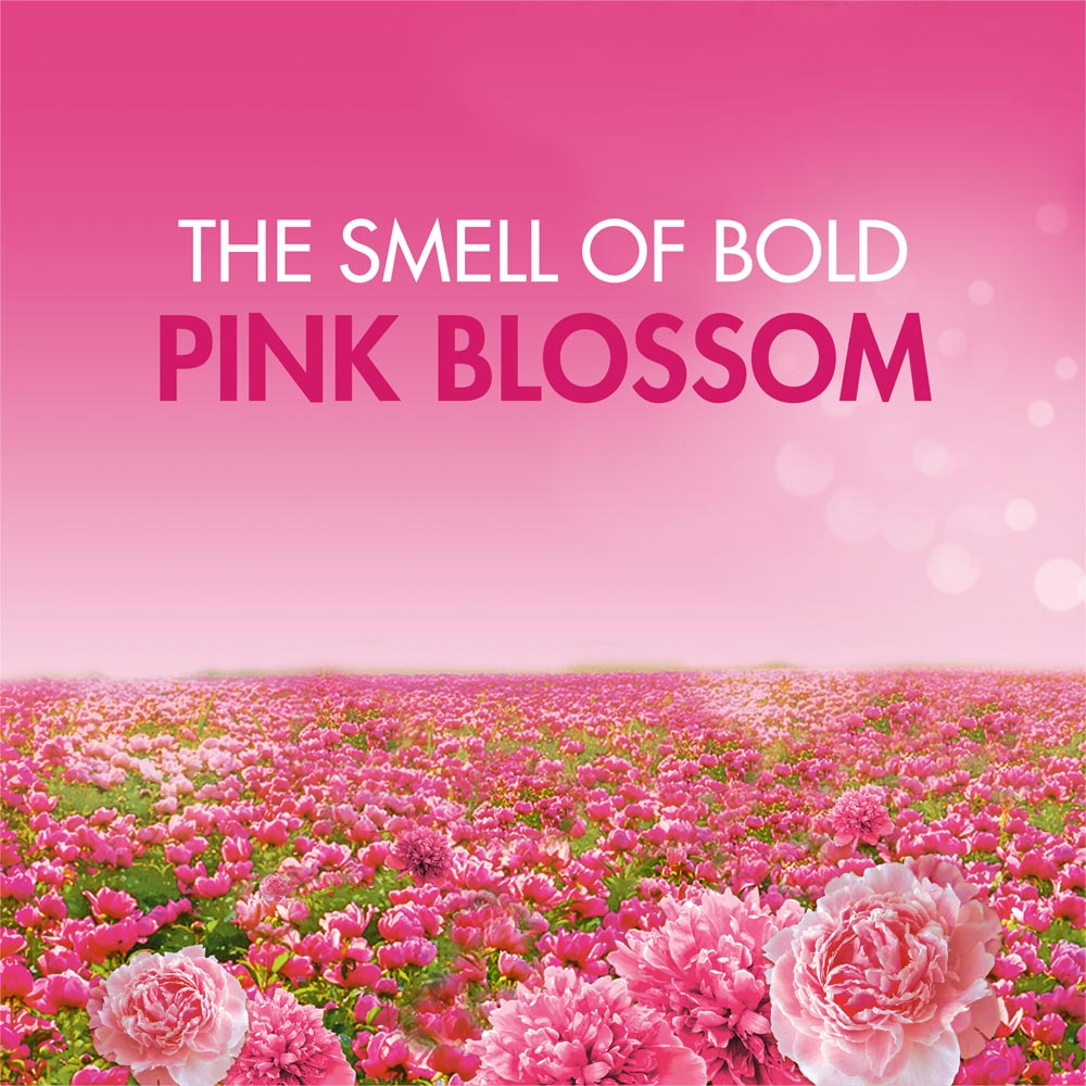 Bold Pink Blossom Washing Liquid 38 Washes 1.33L Image 3