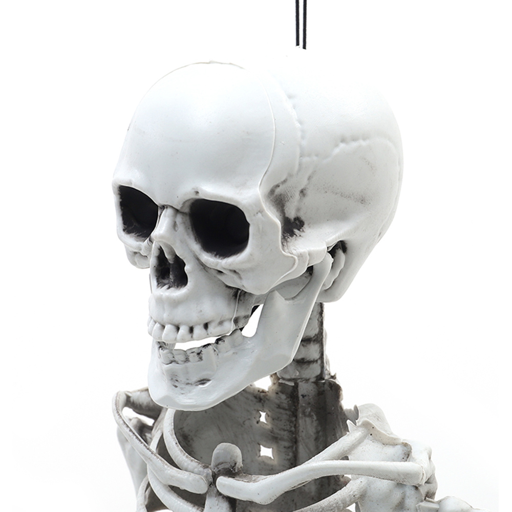 Living and Home Halloween Human Anatomy Skeleton 40cm Image 3