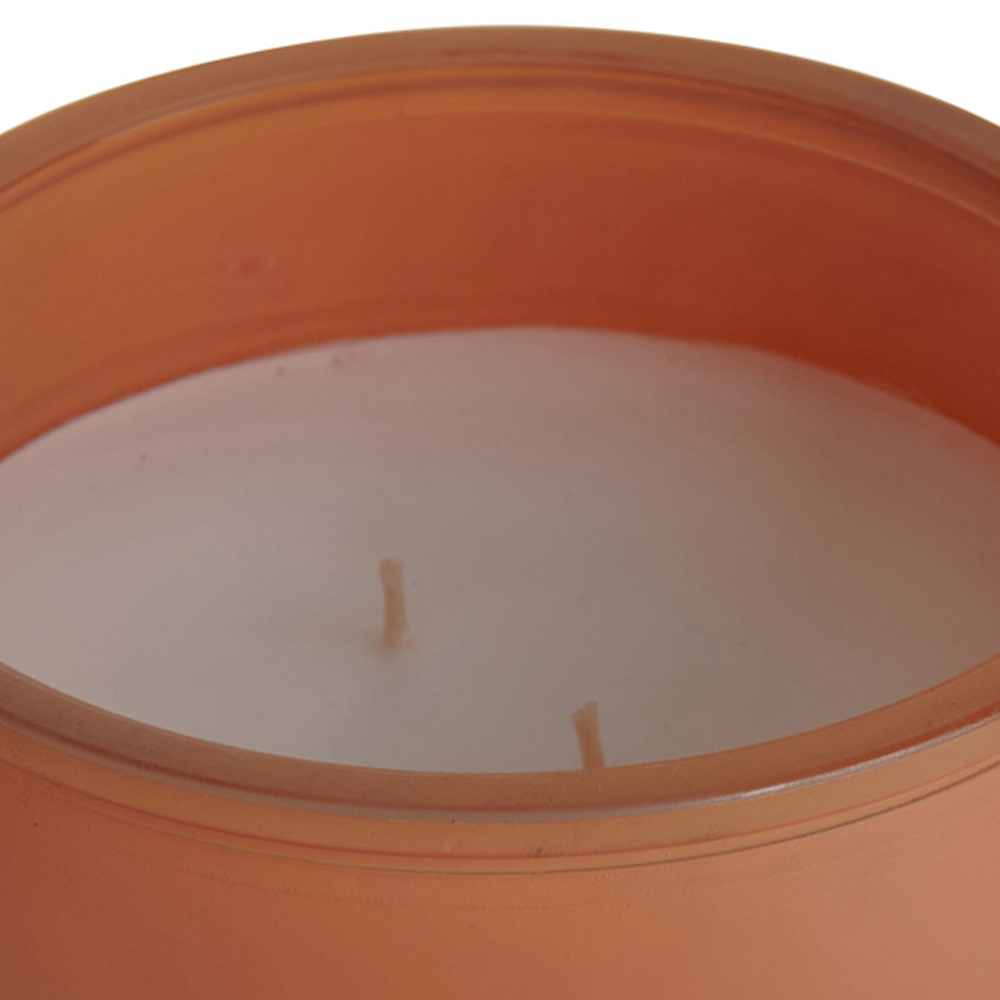 Wilko Passion Fruit and Cactus Blossom Scented Candle Image 4