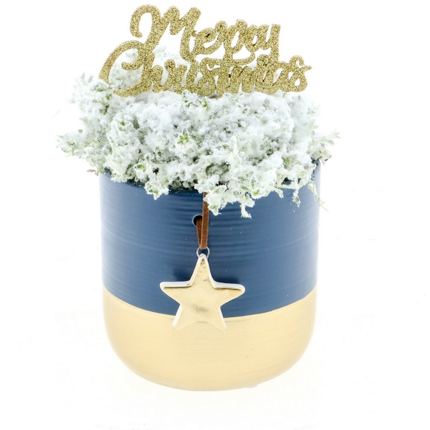 Christmas Heather Arrangement 10cm - Blue and White Image