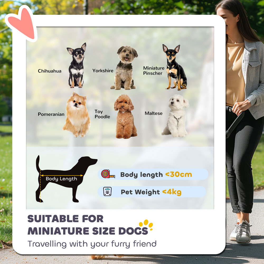 PawHut Dark Green Lightweight Foldable Mini Dog Stroller Image 4