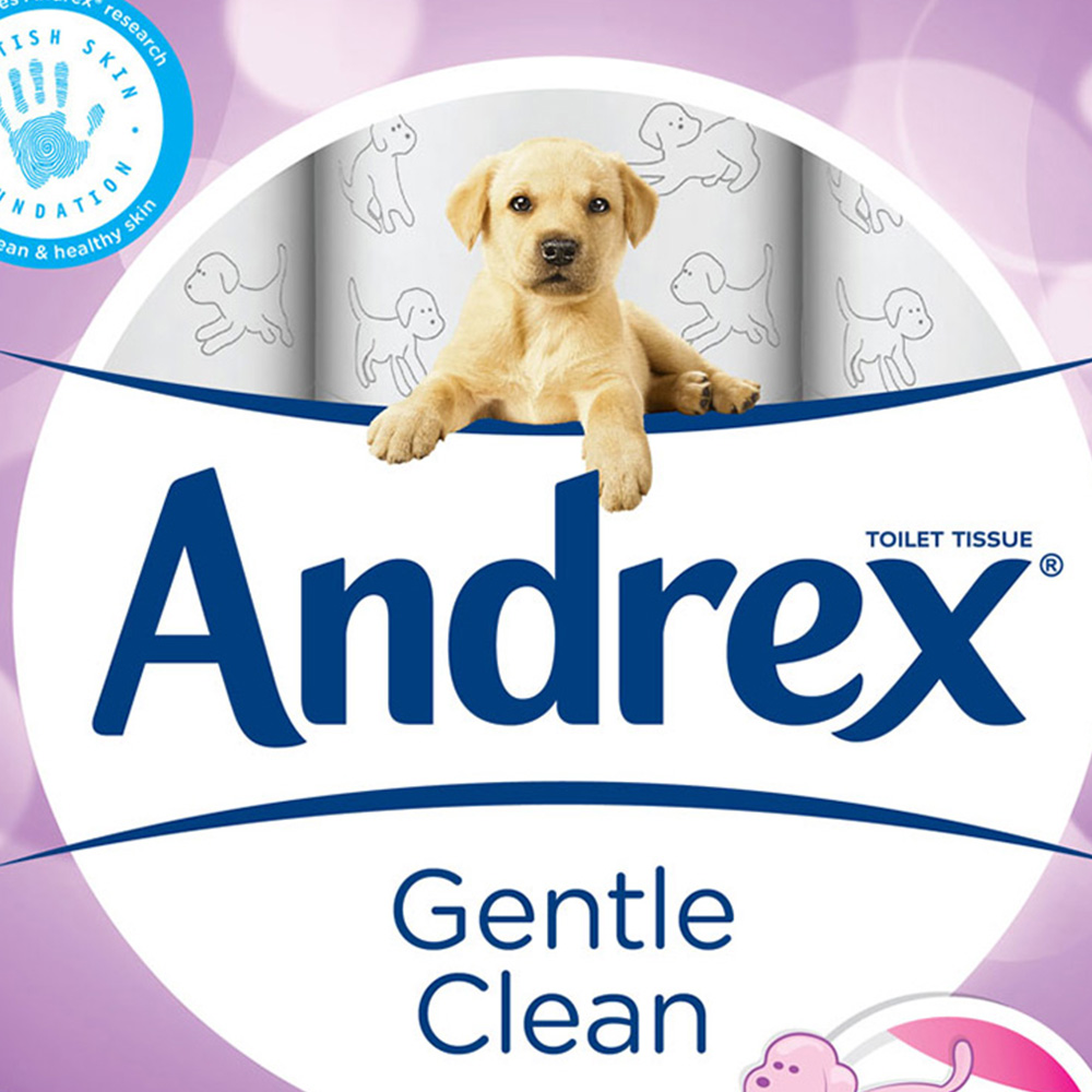 Andrex Gentle Clean Toilet Tissue 9 Rolls Image 2