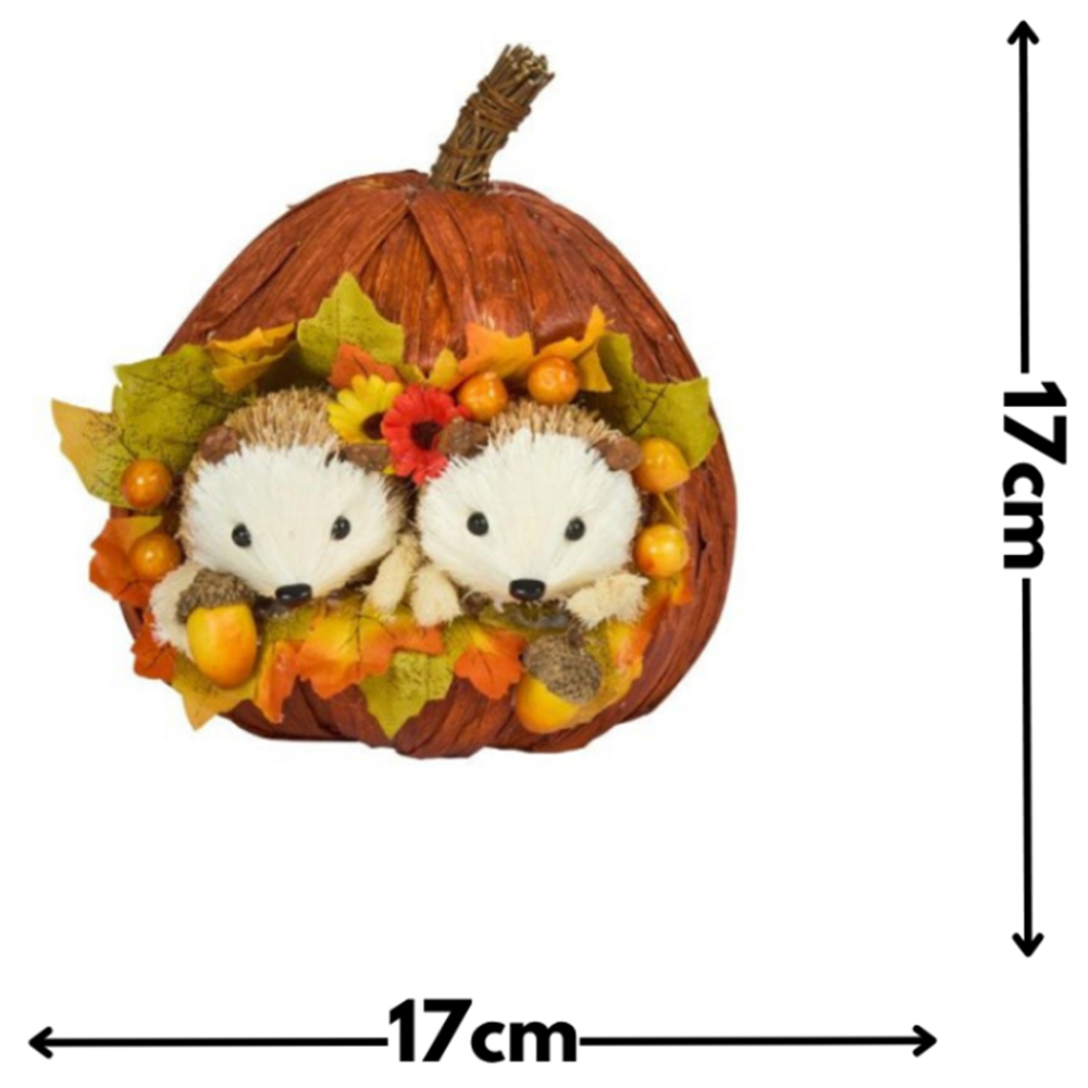 Garden Mile Autumn Hedgehog Pumpkin Decoration Image 3