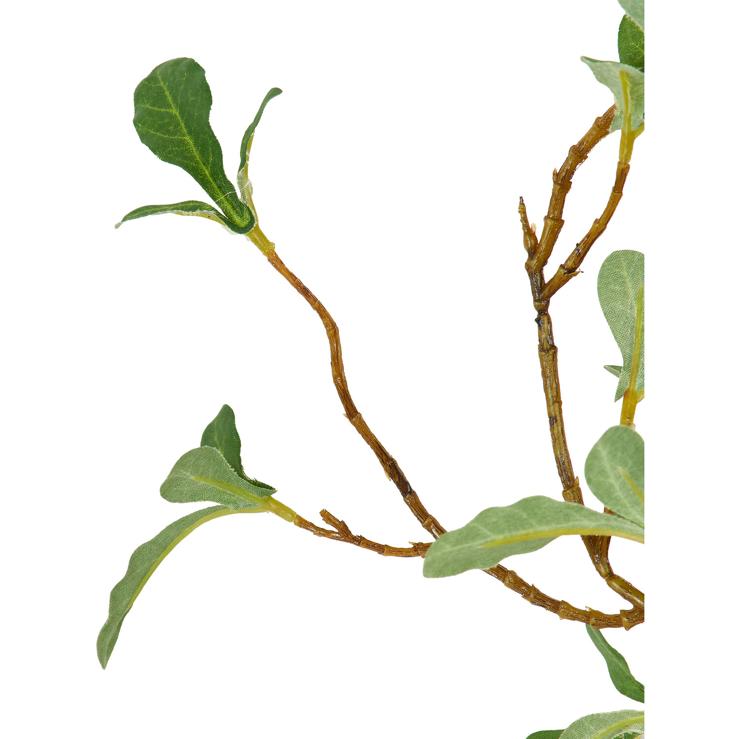 Leaves Spray - Green Image 5