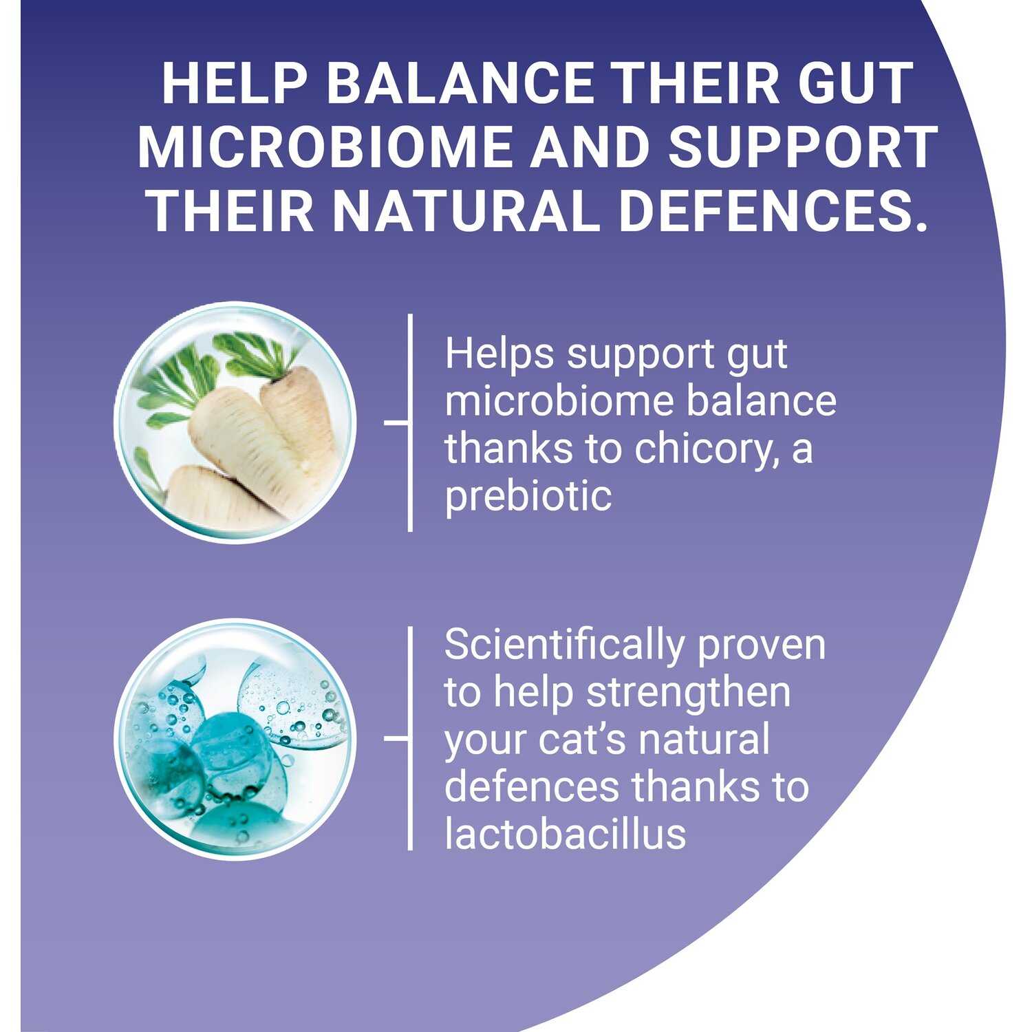 Purina One Chicken and Wholegrain Adult Dry Cat Food 2.8kg Image 3