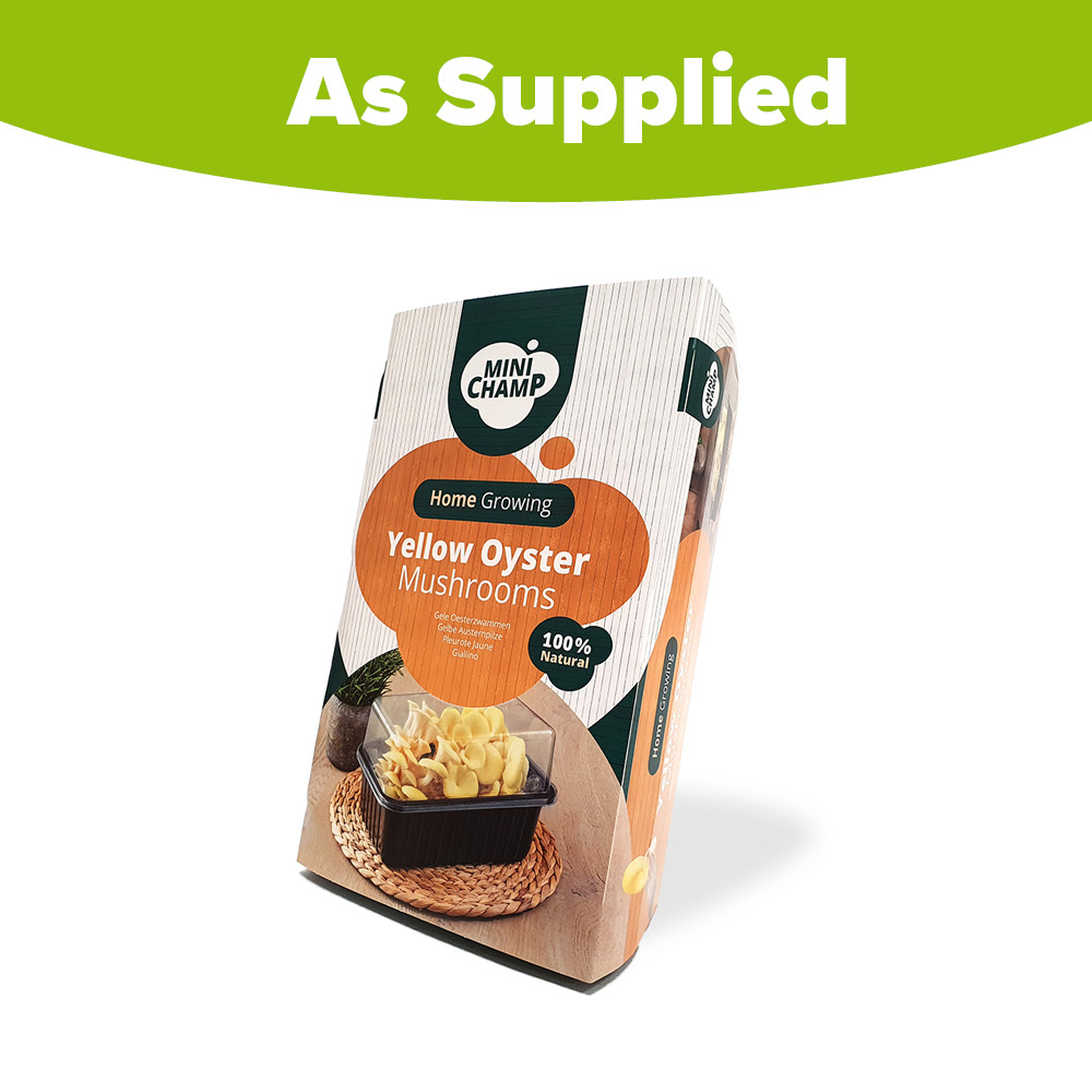 YouGarden Yellow Oyster Mushroom Grow Kit 3L Image 4