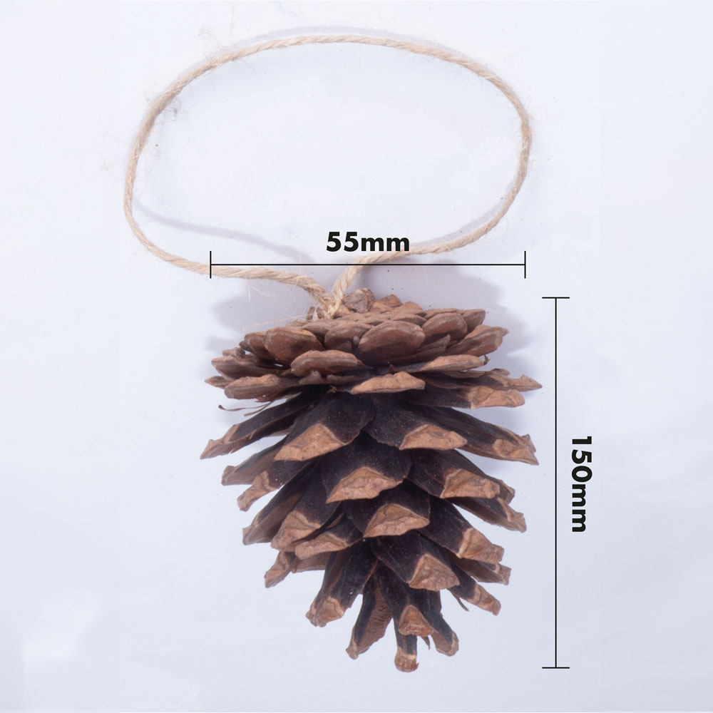 St Helens Brown Hanging Pine Cone Decoration 6 Pack Image 6