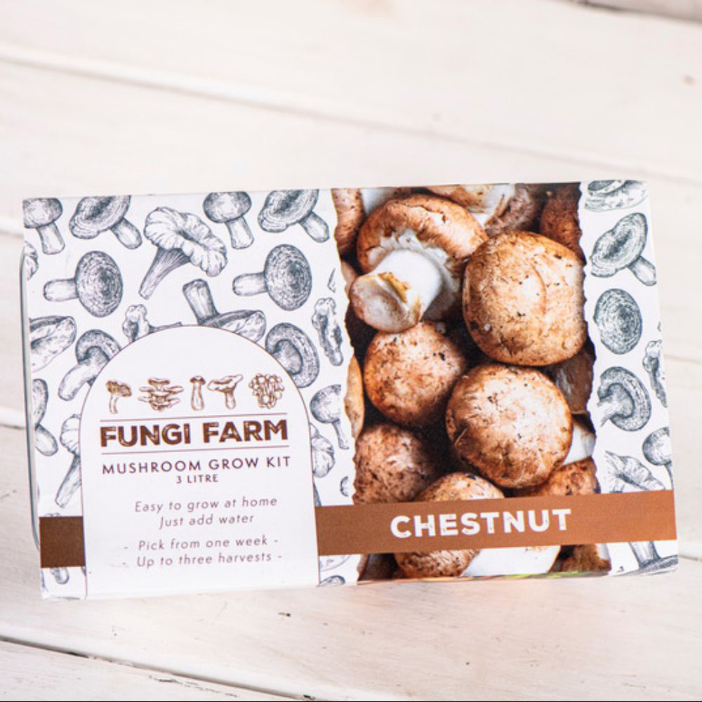 Thompson and Morgan Gift Mushroom Chestnut Prepack Windowsill Kit 3L Image 2