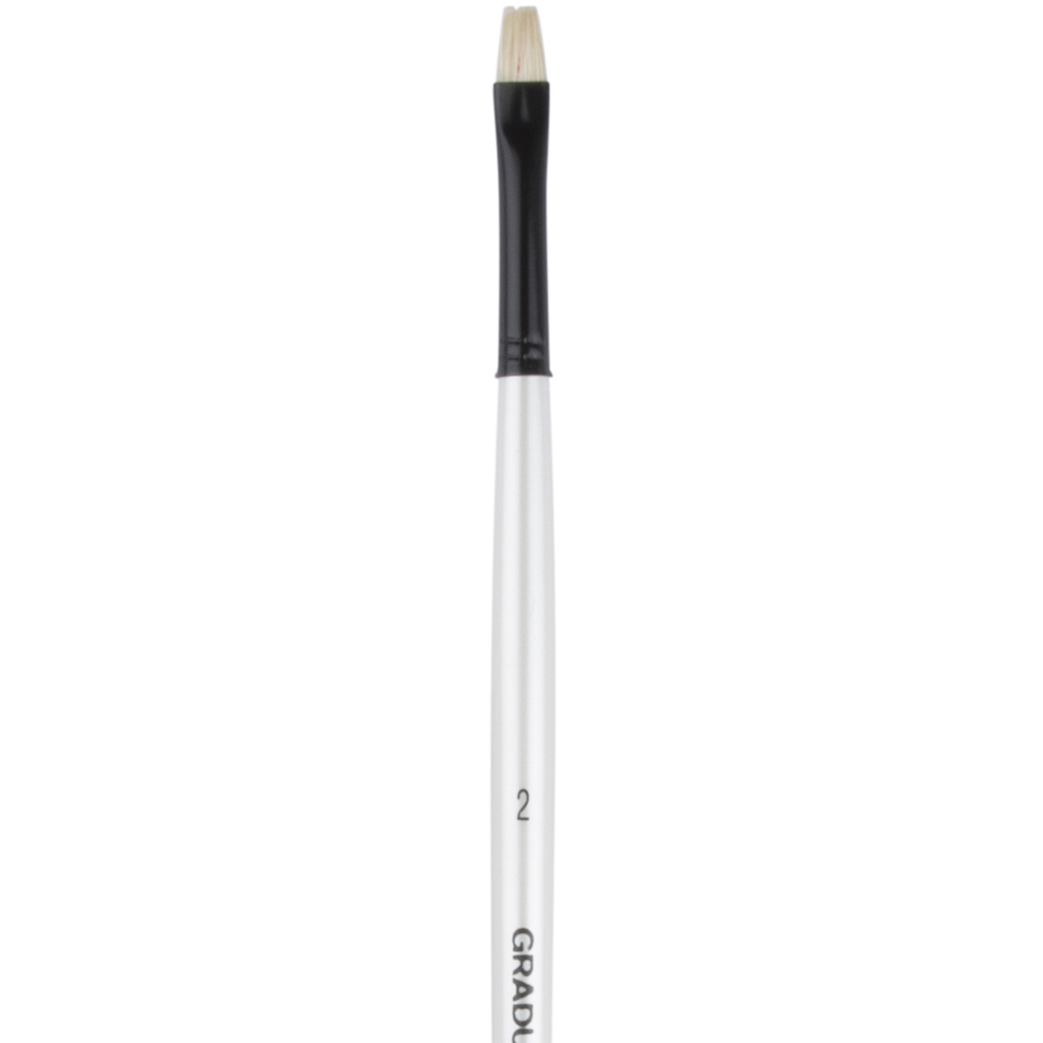 Daler Rowney Graduate Bristle Bright Long Handle Brush No. 2 Image 1