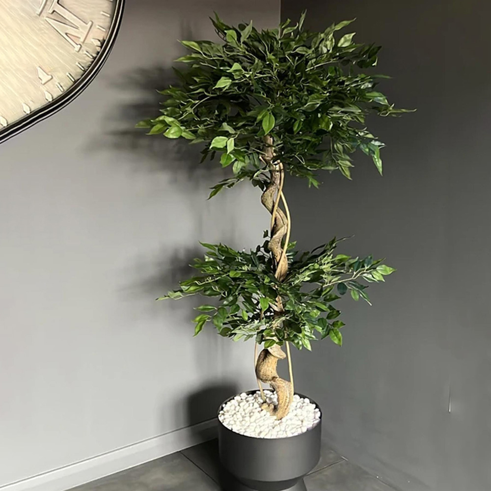 Leaf Artificial Japanese Twisted Ficus Fruticosa Tree Pot 150cm Image 2