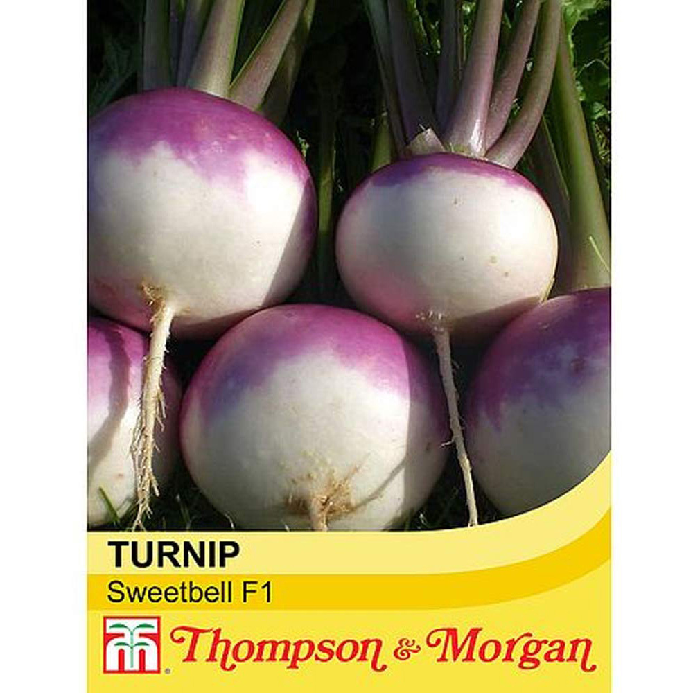 Thompson and Morgan Turnip Sweetbell SC9-303 F1 Hybrid Seeds Image 2