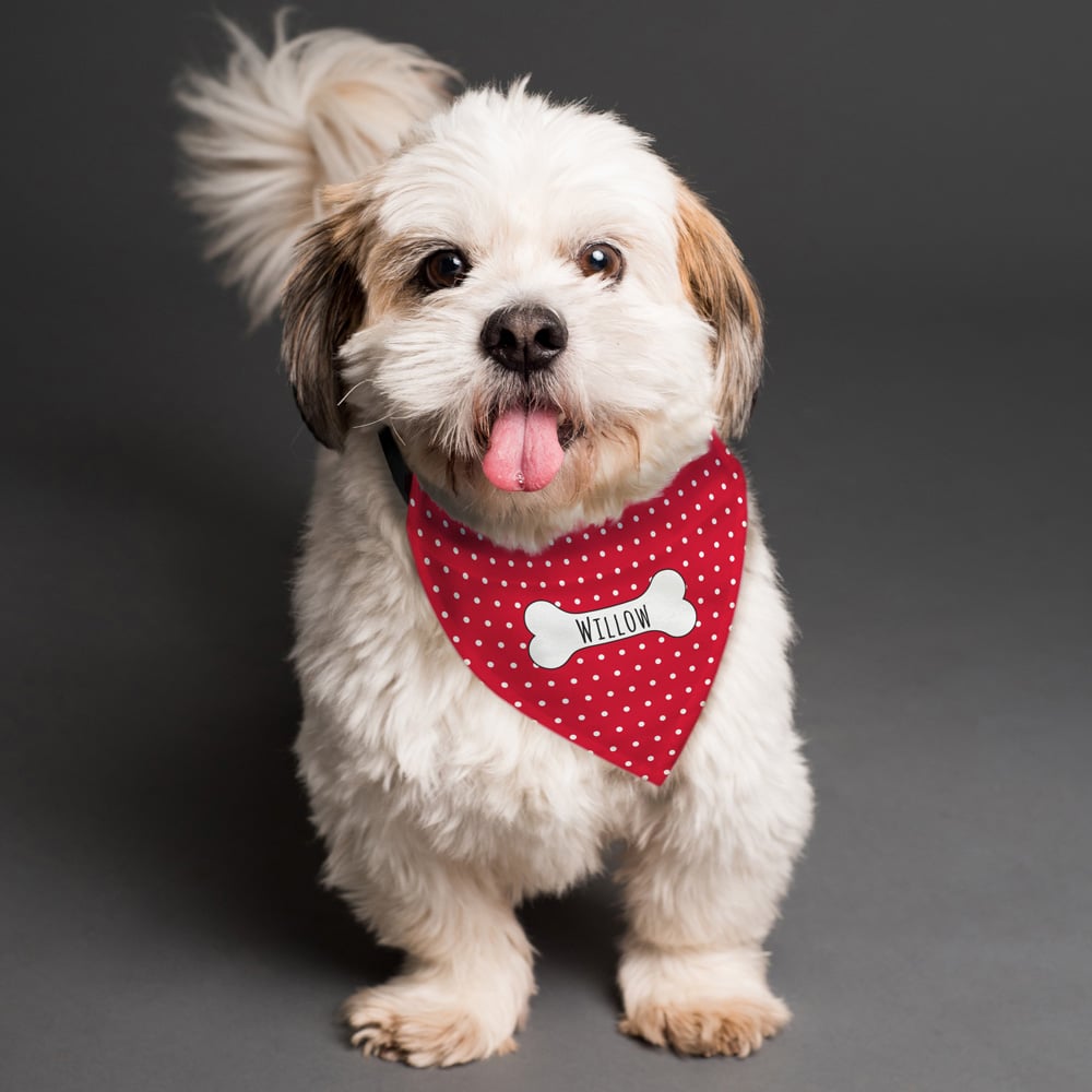 Personalised Memento Red Polka Dot Dog Bandana Image 3