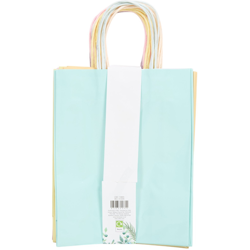 Pack of 10 Pastel Large Paper Bags Image 3