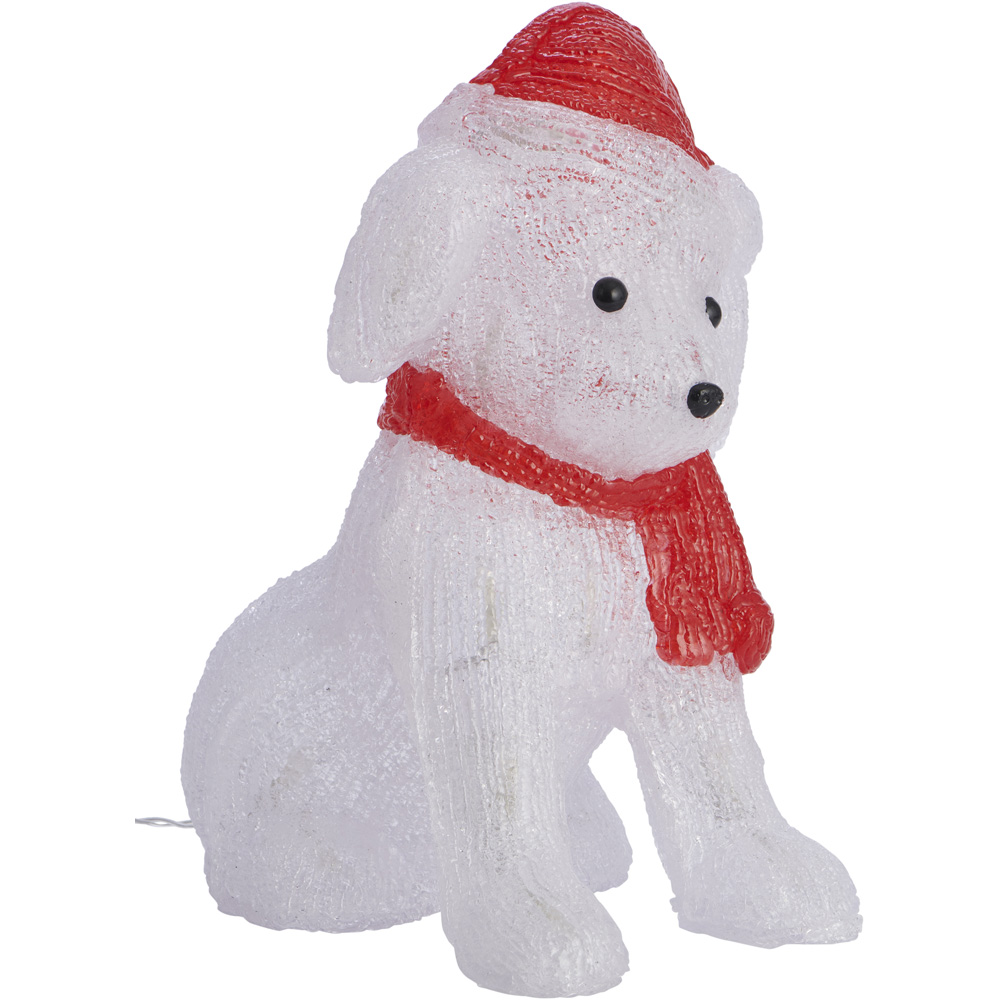 Wilko B/O Acrylic Light Up Pup with Hat Image 3