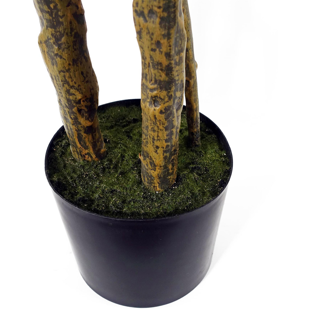 Botanik Premium Monstera Artificial Plant 4.9ft Image 5