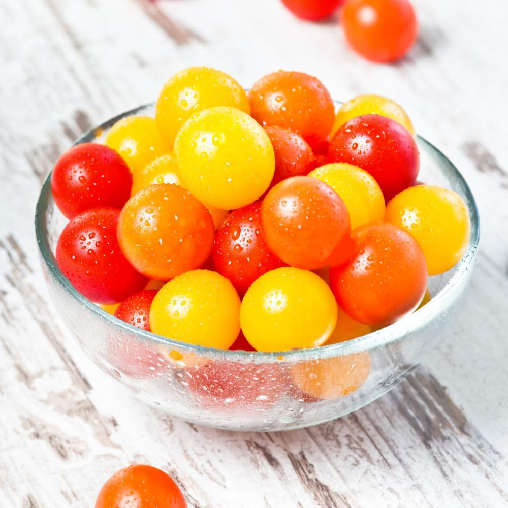Thompson and Morgan Tomato Solanum lycopersicum Tiny Temptations Mixed Seed Packet Image 5