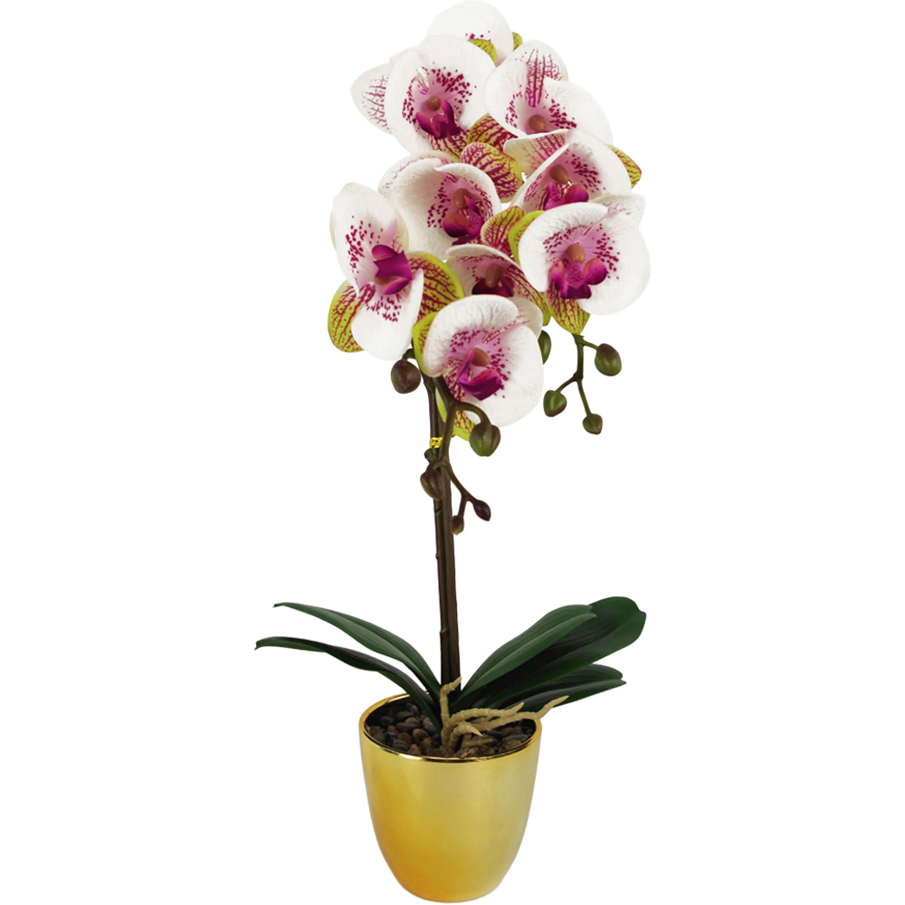 Leaf Pink Harlequin Orchid Artificial Plant in Gold Pot 48cm Image 1