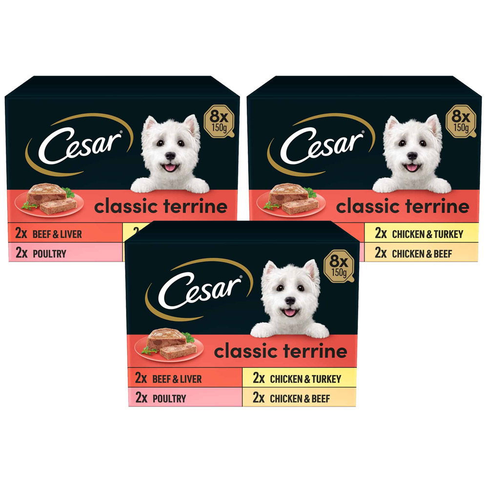Cesar Classic Terrine Selection Dog Food Trays 150g Case of 3 x 8 Pack Image 1