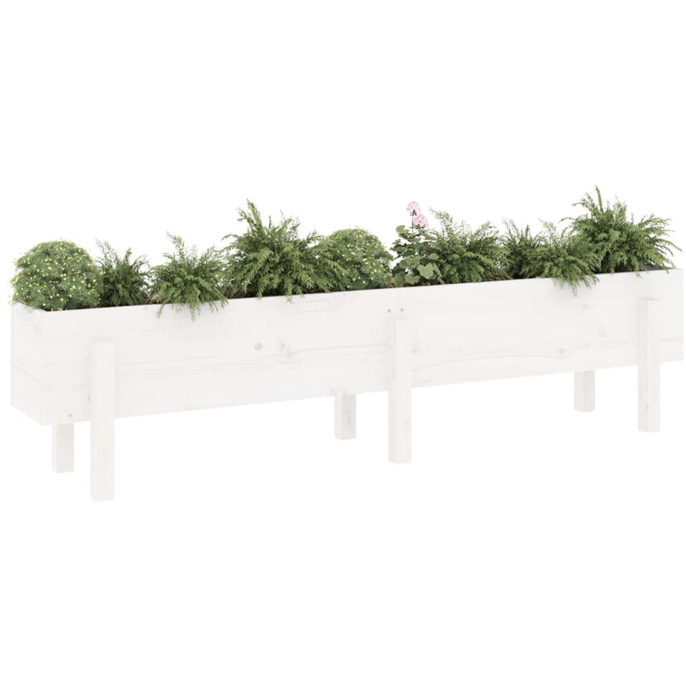 vidaXL White Pine Wood Raised Garden Bed 38 x 30 x 160cm Image 2