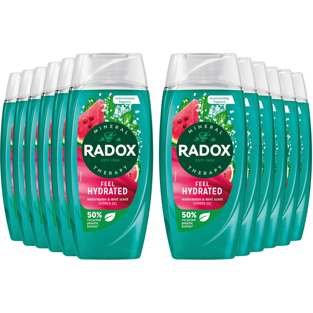 Radox Mineral Therapy Watermelon and Mint Scent Shower Gel Feel Hydrated 225ml 12 Pack Image 1