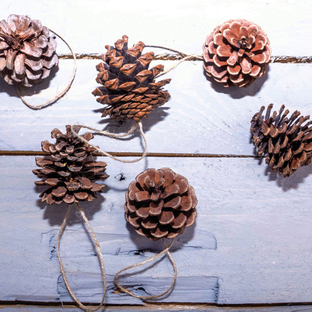 St Helens Brown Hanging Pine Cone Decoration 6 Pack Image 4
