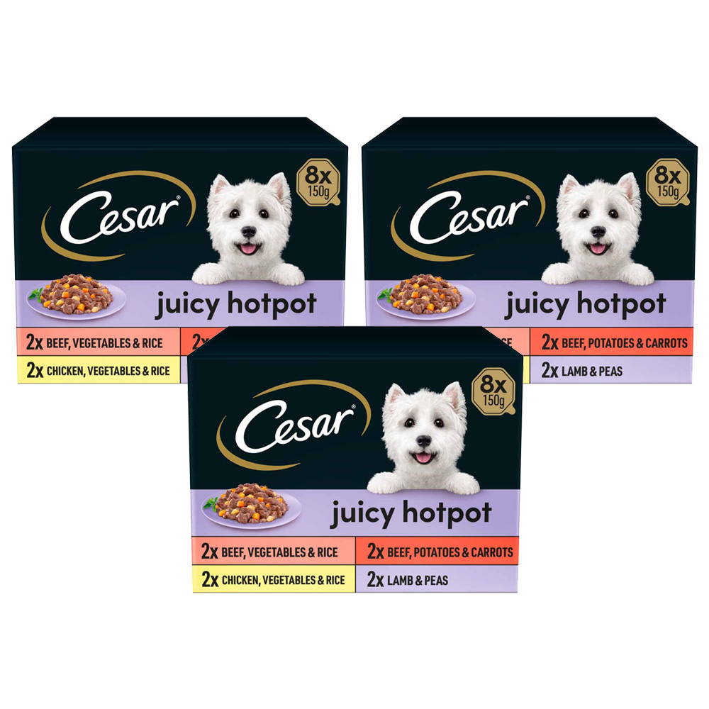 Cesar Juicy Hotpot Mixed in Gravy Adult Wet Dog Food Trays 150g Case of 3 x 8 Pack Image 1