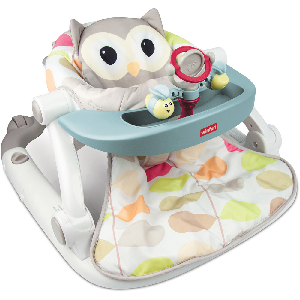 Winfun Sit to Walk Owl Activity Centre Image 1