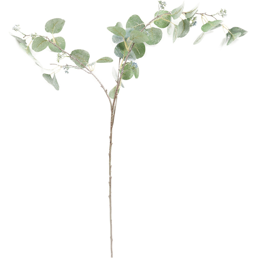 Shimmer Silver Dollar Stem Image 2