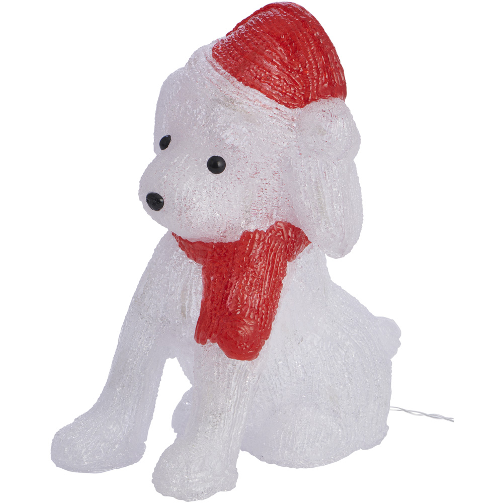 Wilko B/O Acrylic Light Up Pup with Hat Image 2