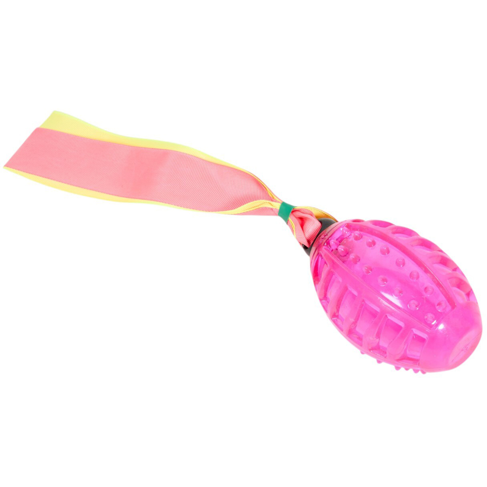 Squeaky Ball with Tail Dog Toy Image 3
