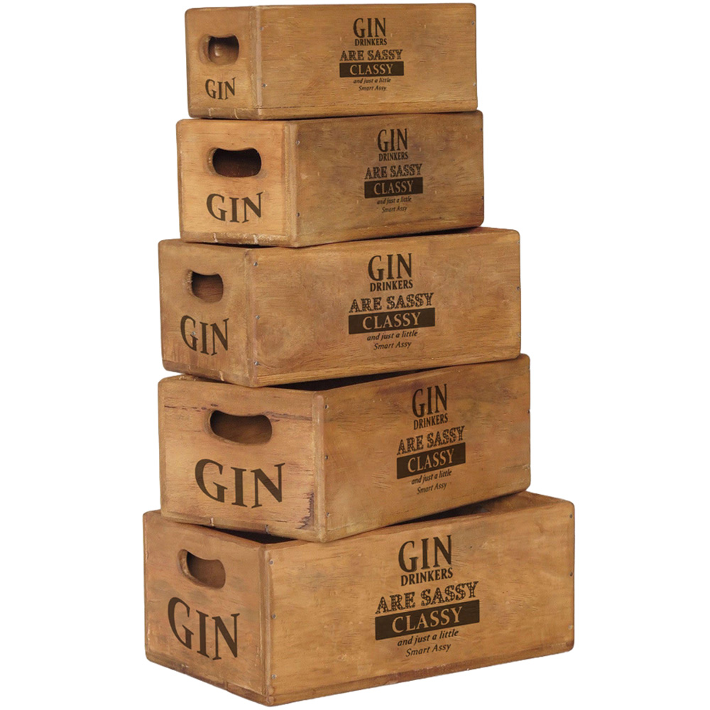 Acacia Home Gin Drinkers are Sassy Classy Waxed Box Set of 5 Image 1