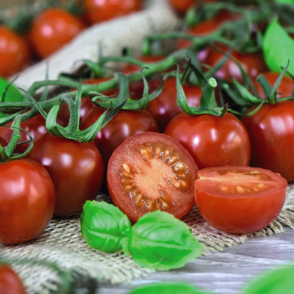 Thompson and Morgan Tomato Rubylicious Seeds Image 2