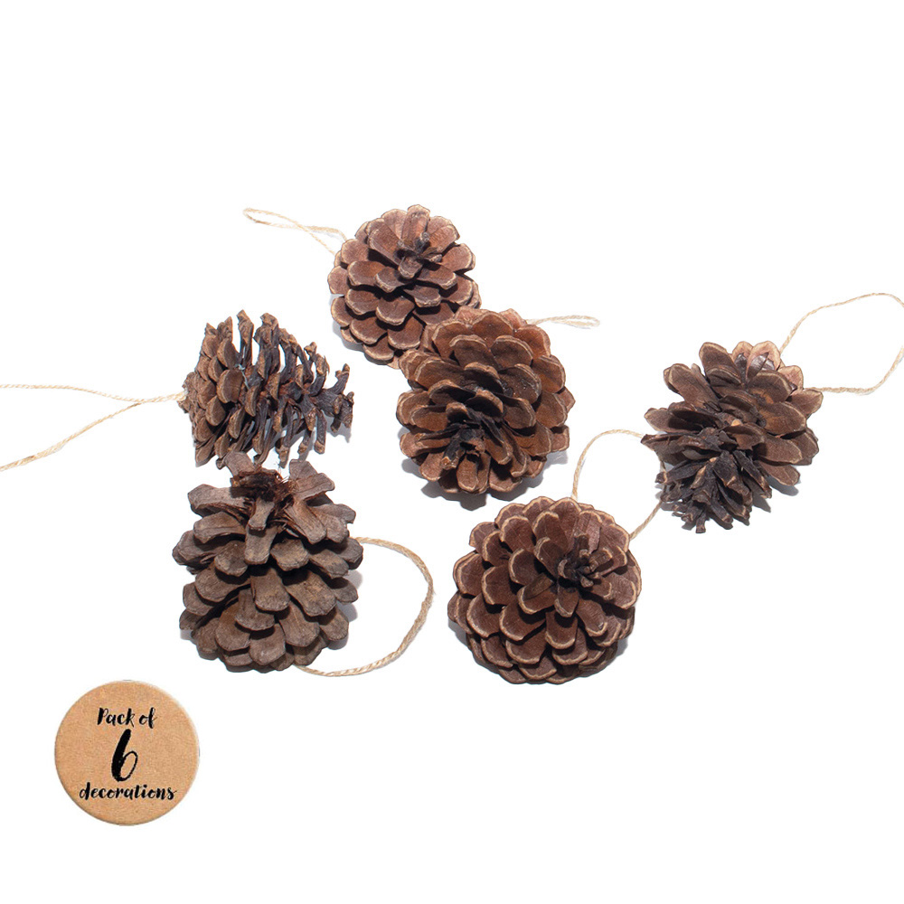 St Helens Brown Hanging Pine Cone Decoration 6 Pack Image 1