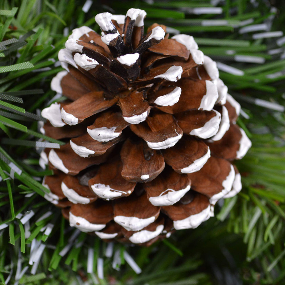 Samuel Alexander Green Snow King Fir Hanging Christmas Wreath with Pinecones 60cm Image 3
