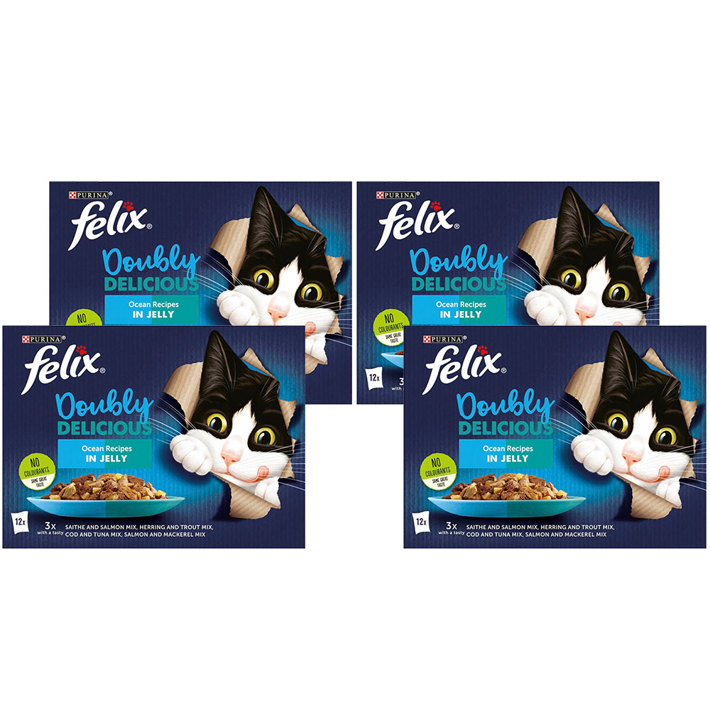 Purina Felix Doubly Delicious Ocean Recipes Cat Food 100g Case of 4 x 12 Pack Image 1