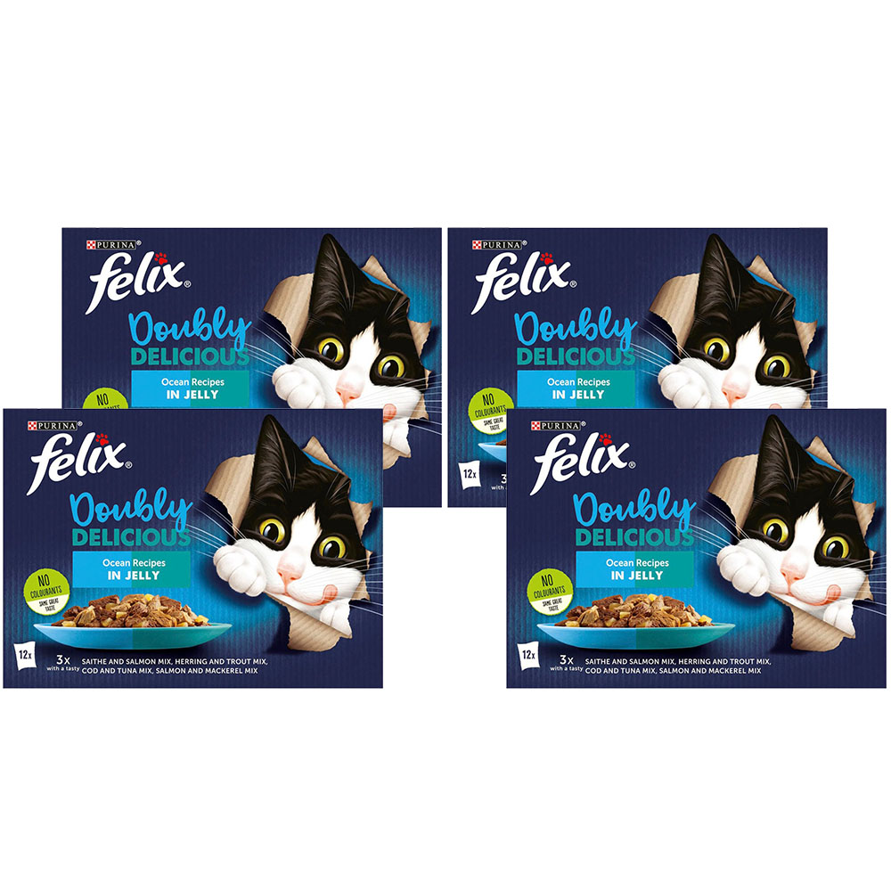 Purina Felix Doubly Delicious Ocean Recipes Cat Food 100g Case of 4 x