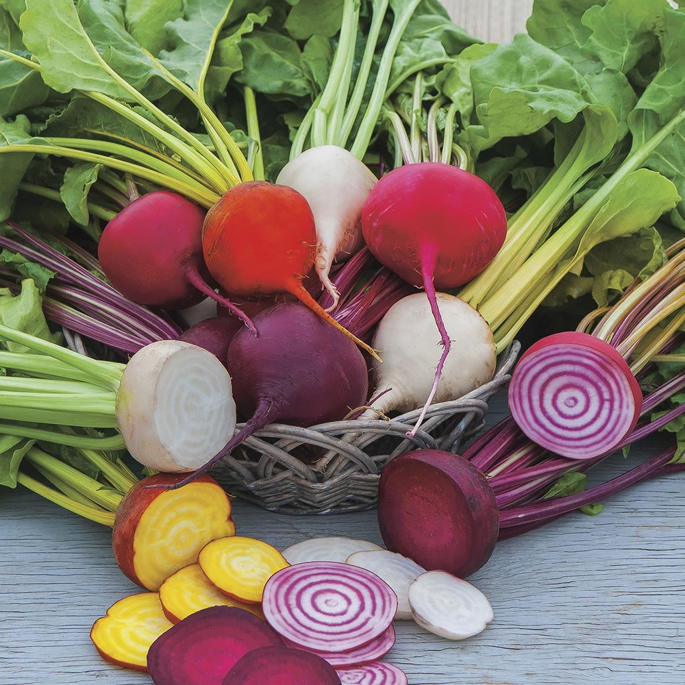 Wilko Beetroot Multicoloured Mix Seeds Image 1