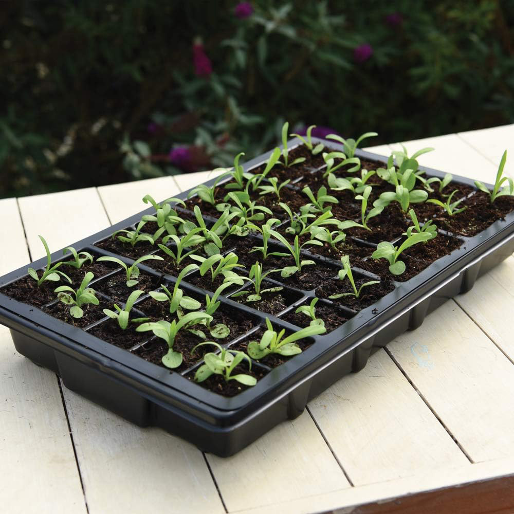 Garden Gear Prepacked Propagator Kit 2 Pack Image 2