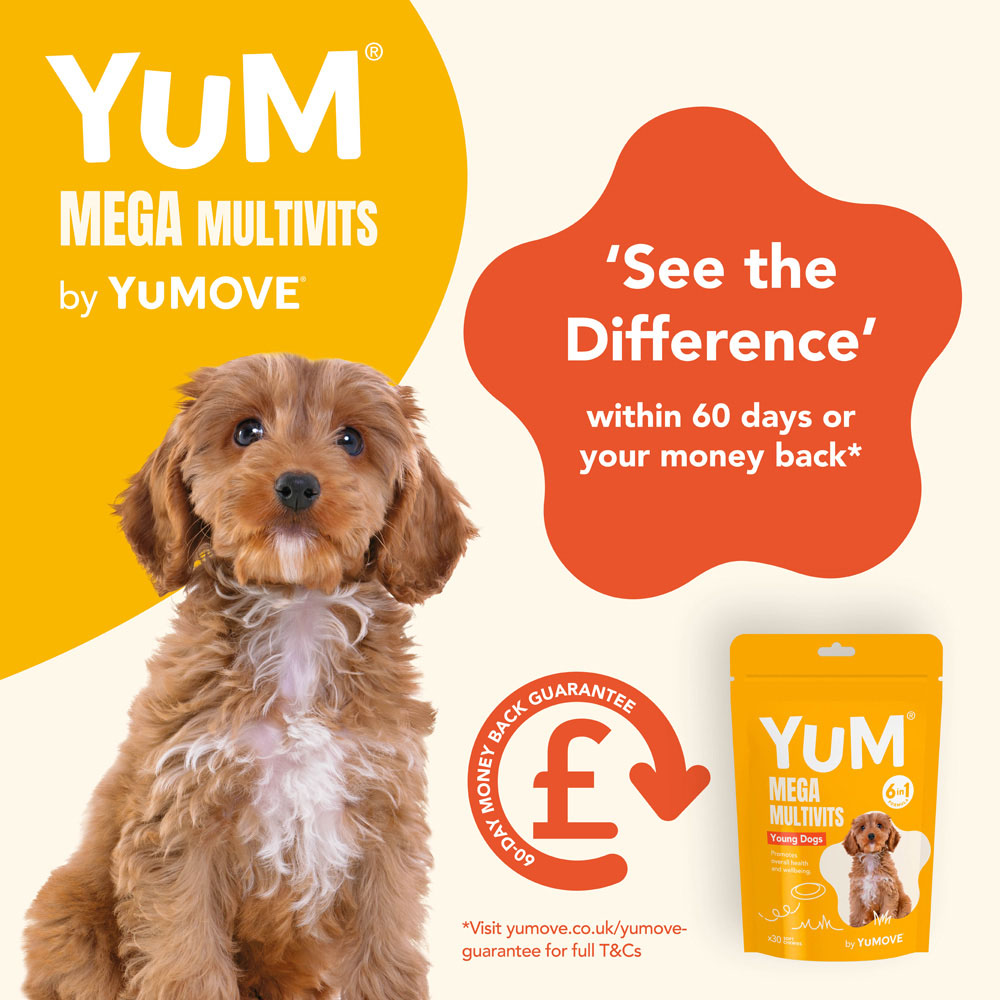 Yum Mega MultiVits 6 in 1 Supplement for Young Dogs 30 Pack Wilko