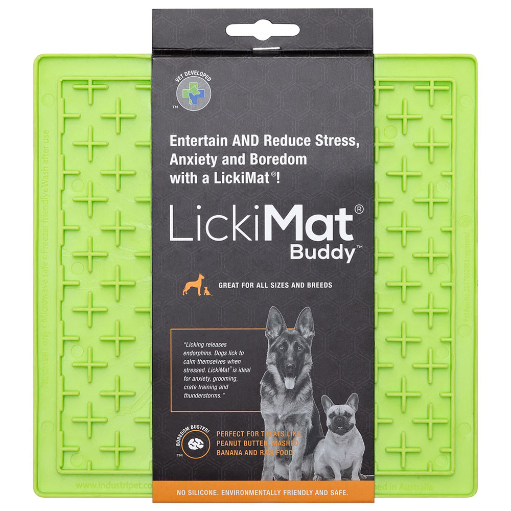 Why Do Dogs Lick Grout