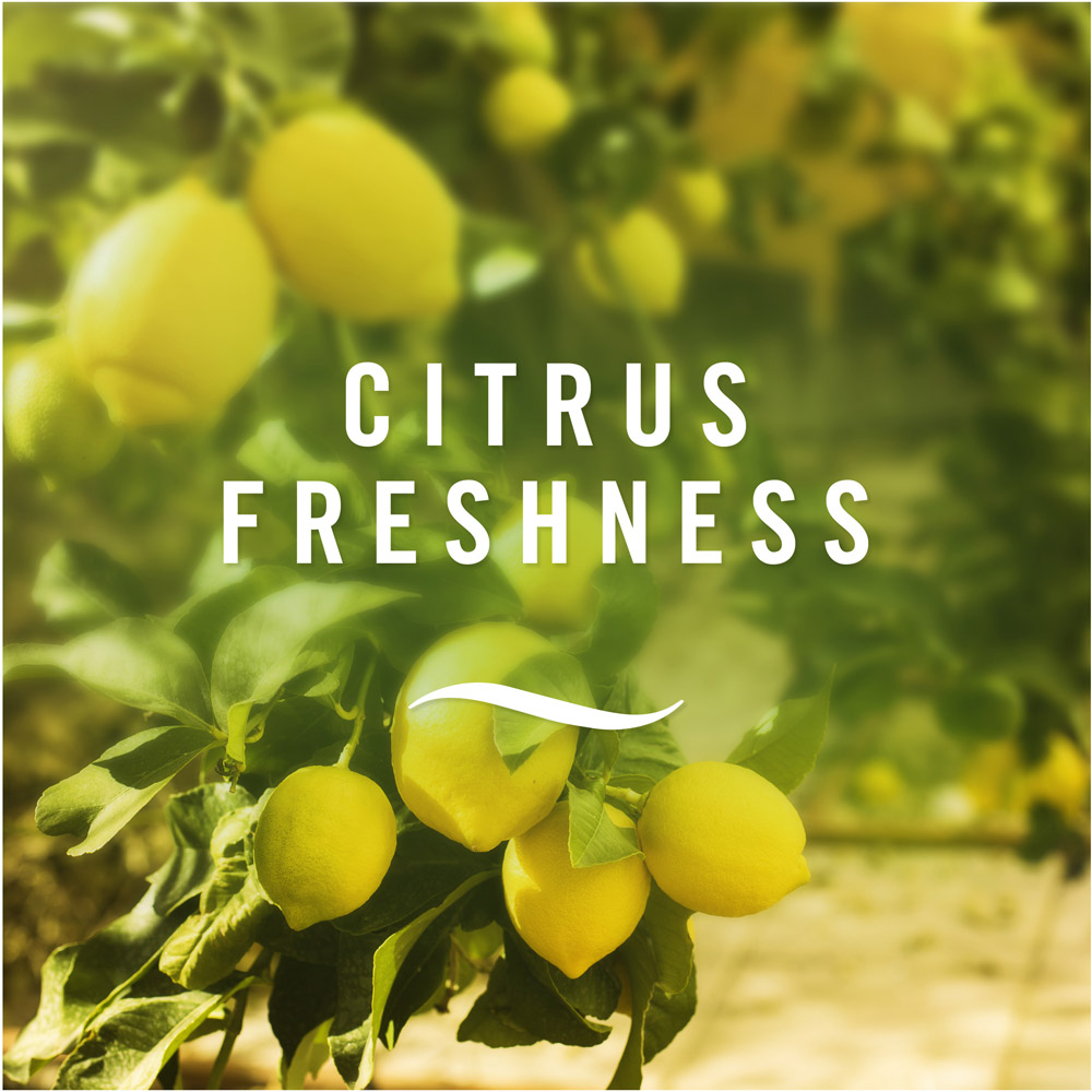 Febreze Citrus Fresh Fabric Refresher 375ml Image 7