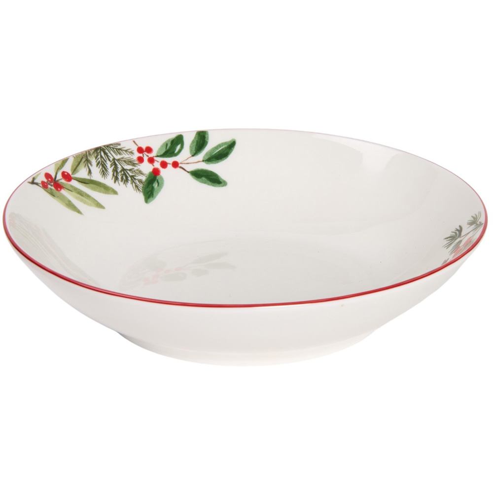 Festive Robin Pasta Bowl White Image 4