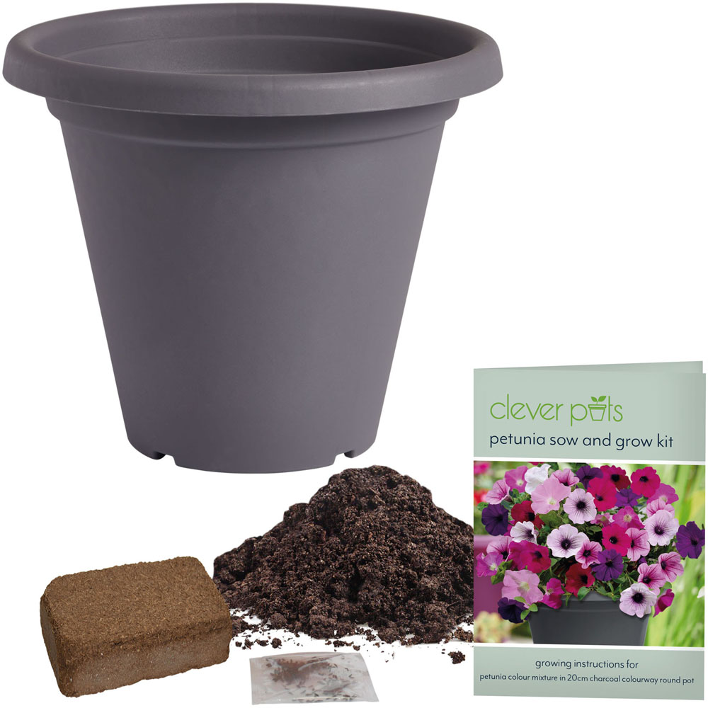 Clever Pots Petunia Sow and Grow Kit with a 19/20cm Round Pot Image 3