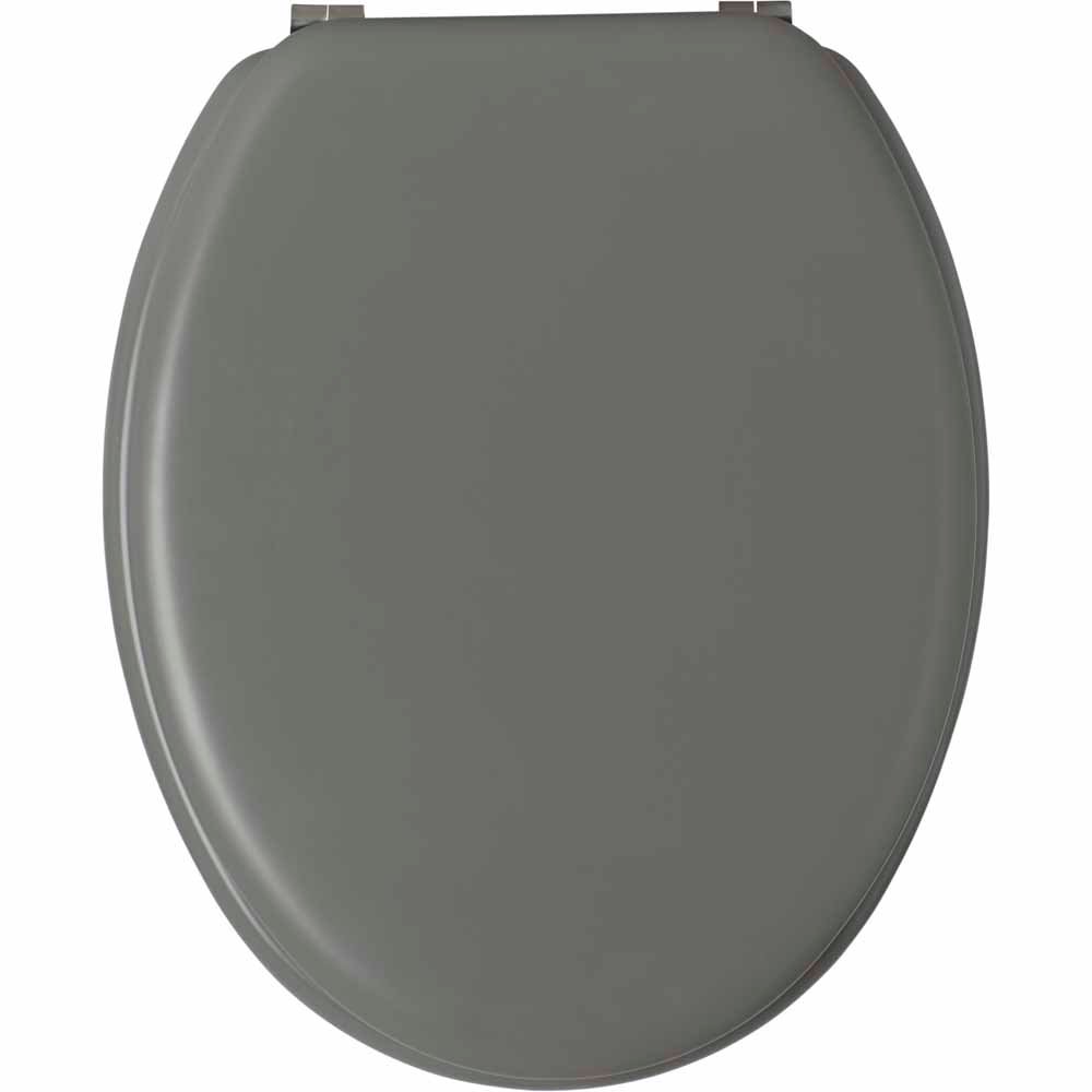 Wilko Matte Grey Toilet Seat Image 1