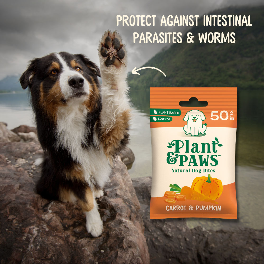 Plant & Paws Carrot & Pumpkin Natural Dog Bites 50 Pack Wilko